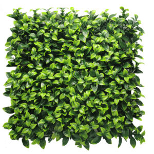 Kunsthecke Fresh Green Light